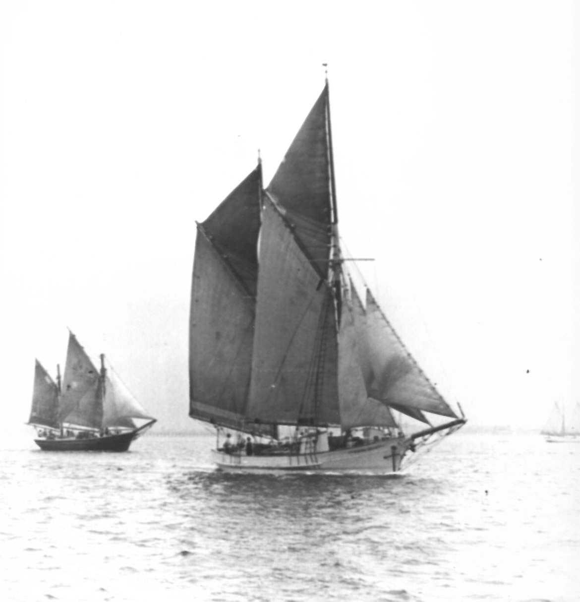 LURLINE - ketch - HEATHER BELLE "Lurline". Official Number 57541, formerly of Hobart. Built in Hobart in 1873 and Eventually wrecked at Sellicks Beach, SA in 1946.
Dimensions - length 79', breadth 18'5", draught 7'1"
"Heather Belle". Official Number 119238. Built in 1905 in Hoba