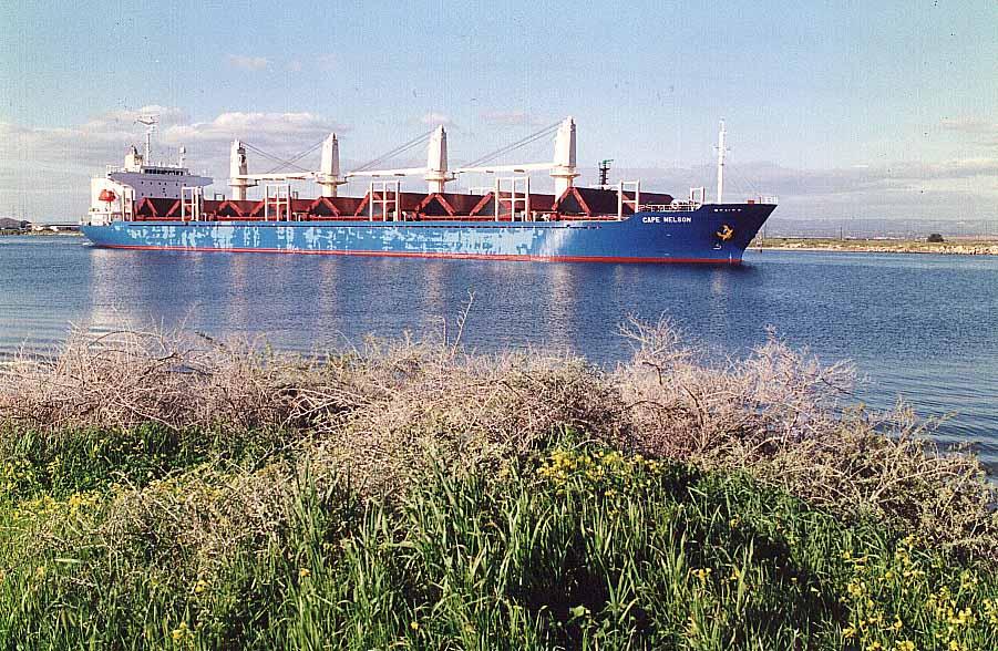 On Port River