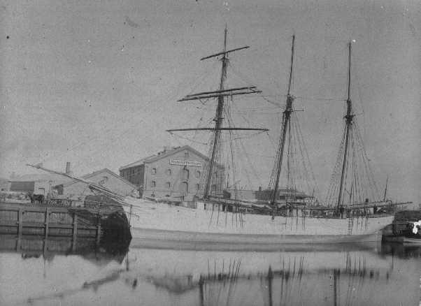 Barque, "Maile", built in 1884 at Auckland, New Zealand, by Lane & Brown.
