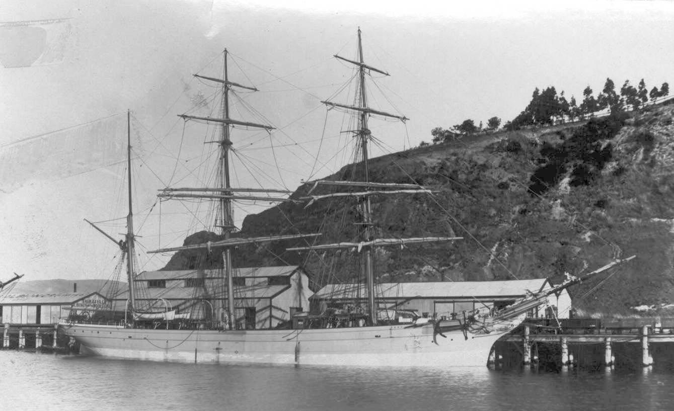 Iron Barque "Peru", built in 1876 by Kinghorn J Key & sons.  Owned by J Stewart & Co - Dundee.

Tonnage:  683 gross, 675 net
Official Number:  75188
Dimensions:  length 182'$', breadth 30'1", draught 17'8"
Port Of Registry:  London