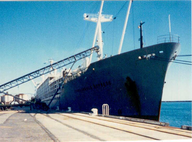 Live sheep carrier berthed at Outer Harbour