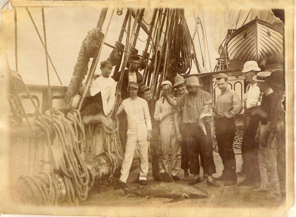 Personnel with captured shark