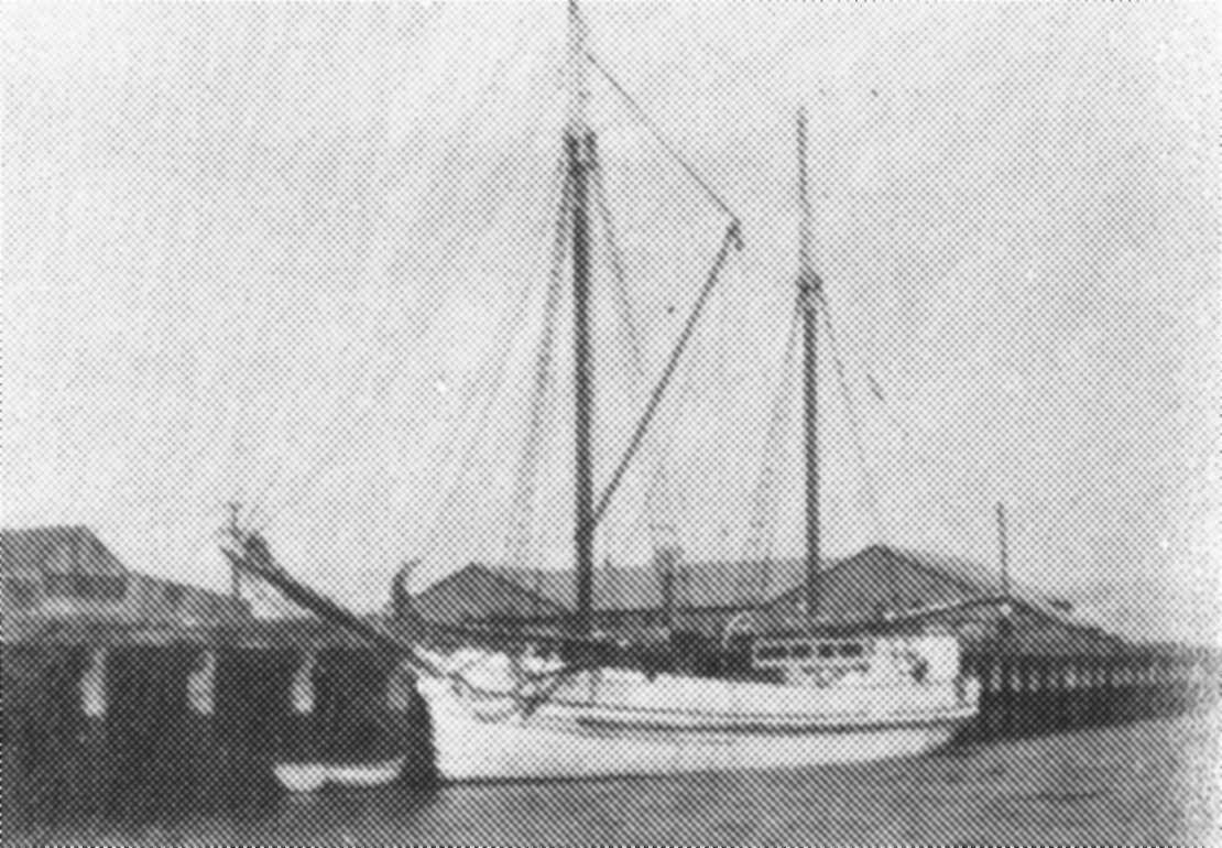 two masted schooner with round stern, 1 deck and carvel built.  Built in 1873 in Port Adelaide as a steamer, she was rerigged in 1875 and her engine removed.  An auxilliary engine was refitted in 1915 (36 bhp).  Vessel was owned by H D Dale, 1873 W Hamilt