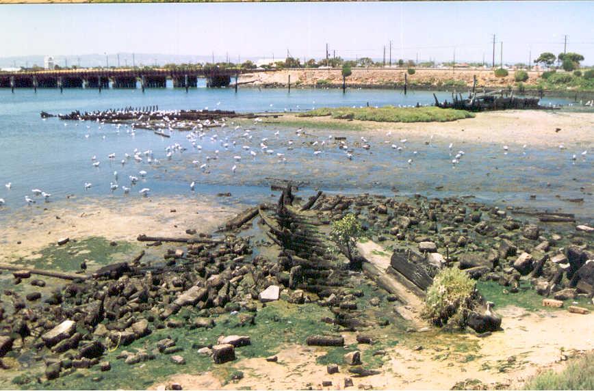 Showing her remains on a beach at Port Adelaide.