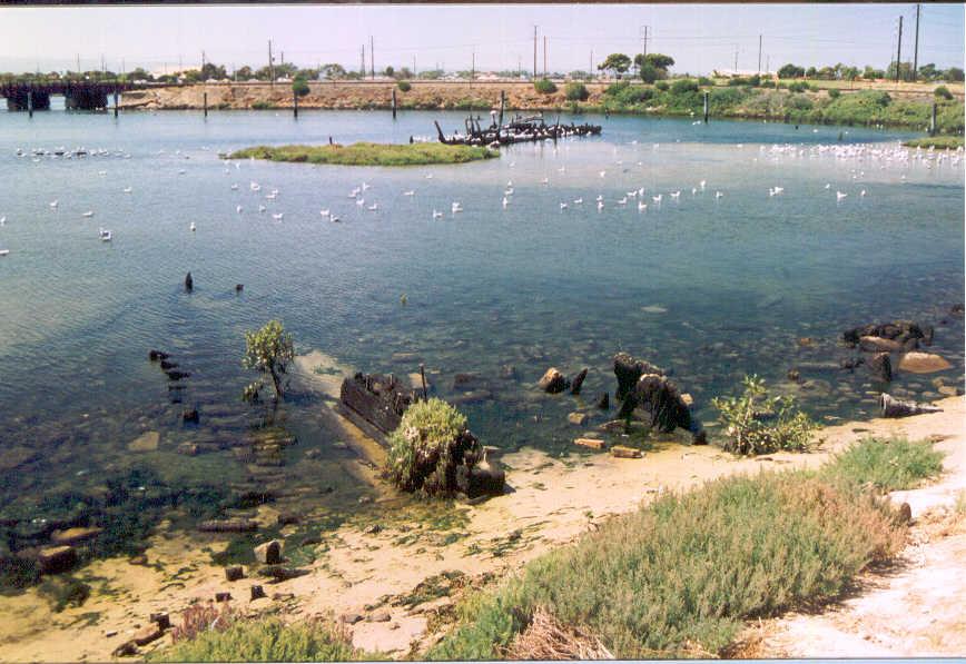 Showing her remains and those of a barge on a beach at Port Adelaide.