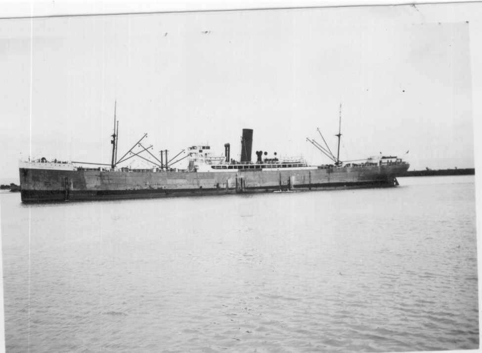 Refrigerated Cargo vessel "Port Darwin", built in 1918 by Workman, Clark & Co Ltd - Belfast.  Owned by Commonwealth & Dominion Line Ltd.
Tonnage:  8063 gross, 5077 net
Official Number:  140446
Dimensions:  length 480'4", breadth 60'3", draught 32'3"
P