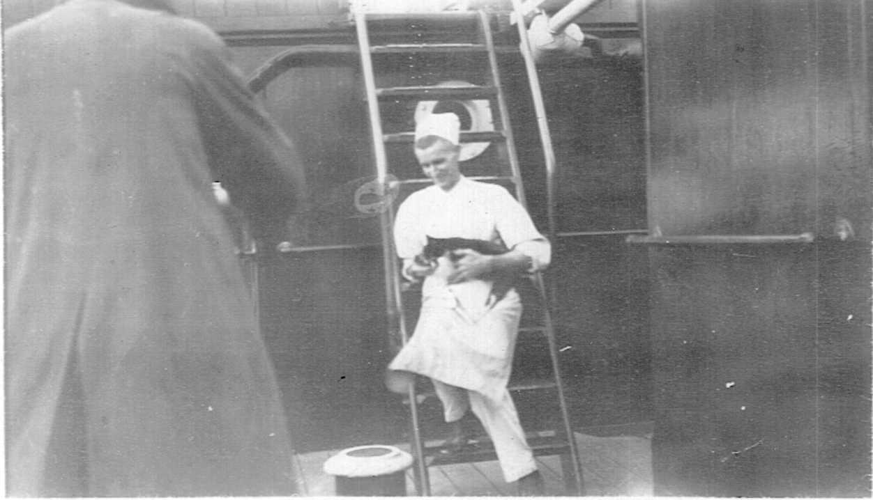 Ship's Cook holding cat on board ship at McLaren Wharf, Port Adelaide, 8 April, 1931