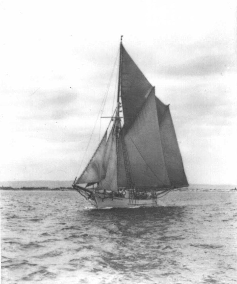 Ronald Parsons' book "Ketches of South Australia" describes "Heather Belle" as a wooden ketch, built in 1905 for H Heather in Hobart.  It was later sold to H Jones & co Ltd, by early 1920's was owned by BJ Boxall.  Destroyed by fire at wallaroo, May 18, 1