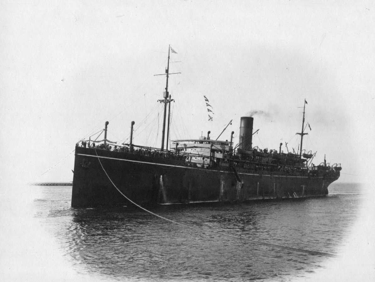 Passenger Vessel "S.S. Borda", built in 1914 at Greenock by Caird & Co for P&O Steam Navigation Co.  A Steel twin screw steamer of 1200nhp.
Tonnage:  11136 gross, 7036 net
Official Number:  135340
Dimensions:  length 500', breadth 62', draught 38'
Por