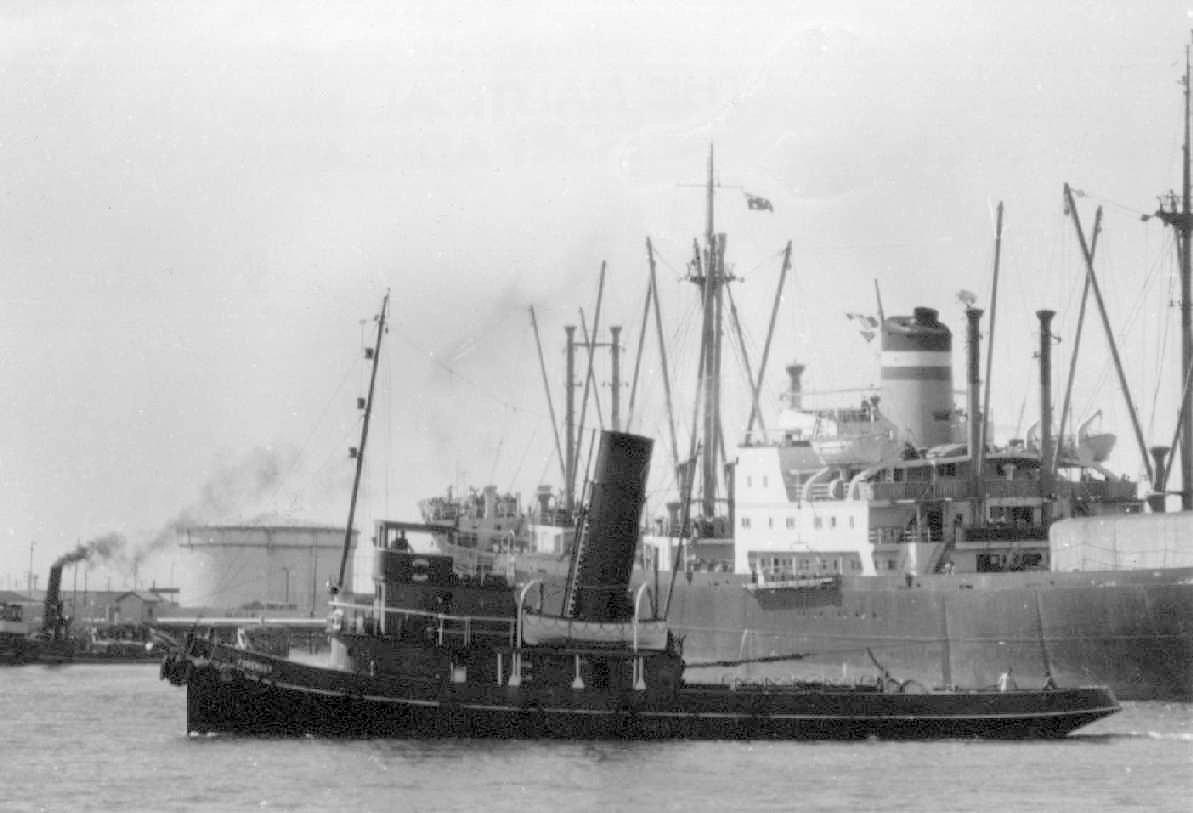 Tug "Foremost", a steel single screw steamship, built in 1926 by A Hall & Co Ltd - Aberdeen.  Owned by Huddart, Parker & Co Ltd and registered in Melbourne until 1958 when acquired by Ritch & Smith Ltd and registered in Port Adelaide.  She was sold to bre