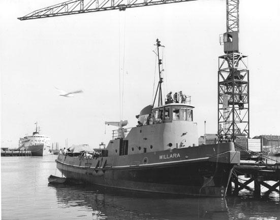 WILLARA Tug "Willara", built in 1962 by Adelaide Ship Construction Ltd. Owned by Waratah Tug & Salvage Co Pty Ltd.
Official Number: 316109
Tonnage: 242
Dimensions: length 105'10", breadth 28'2", draught 12'.5"
Port Of Registry: Sydney
Flag: British