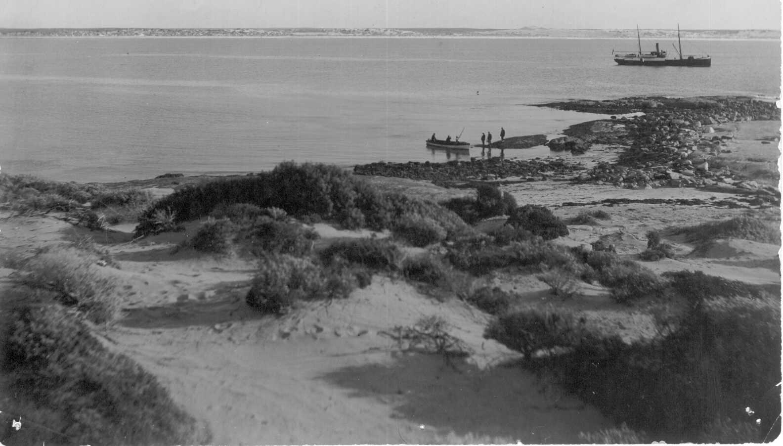 Steamship "Governor musgrave", built in 1874 by Mort's Dock & Engineering Co for the Marine Board of SA.  For many years this vessel was employed for all kinds of coastal service; repairs to jetties, investigating and attending wrecks, delivering stores t