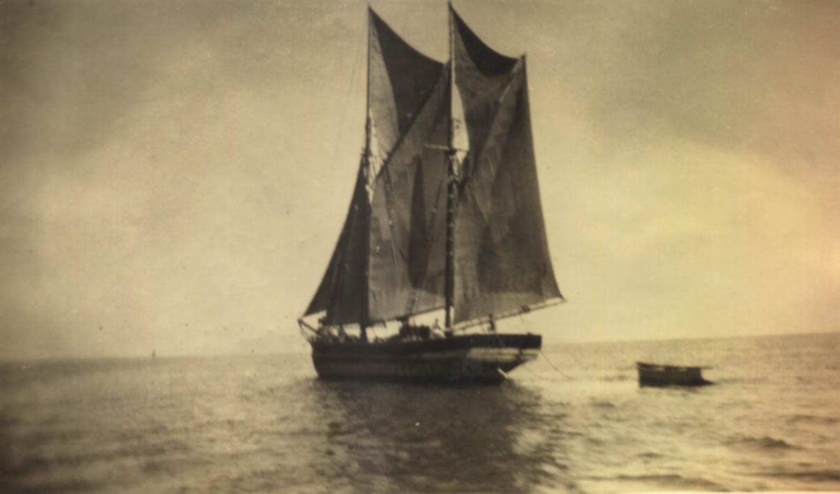 Ketch built in 1864 in Franklin, Tasmania.
This image shows vessel in full sail.