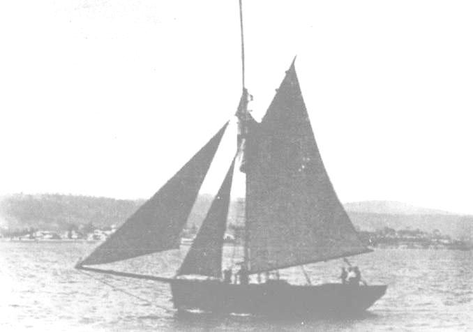 ROYAL WILLIAM Cutter, "Royal William", built in 1842 at John Petchey's Shipyard at Battery Point, Hobart, by Samuel Johnson. Maiden voyage was in 1842 to Kangaroo Island, for seal skins. 42 ton vessel.