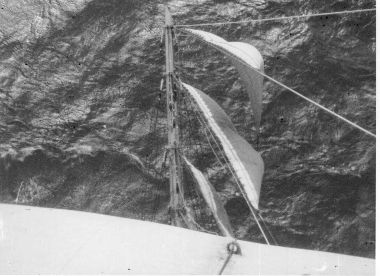 Barque - looking down on jibs from foremast