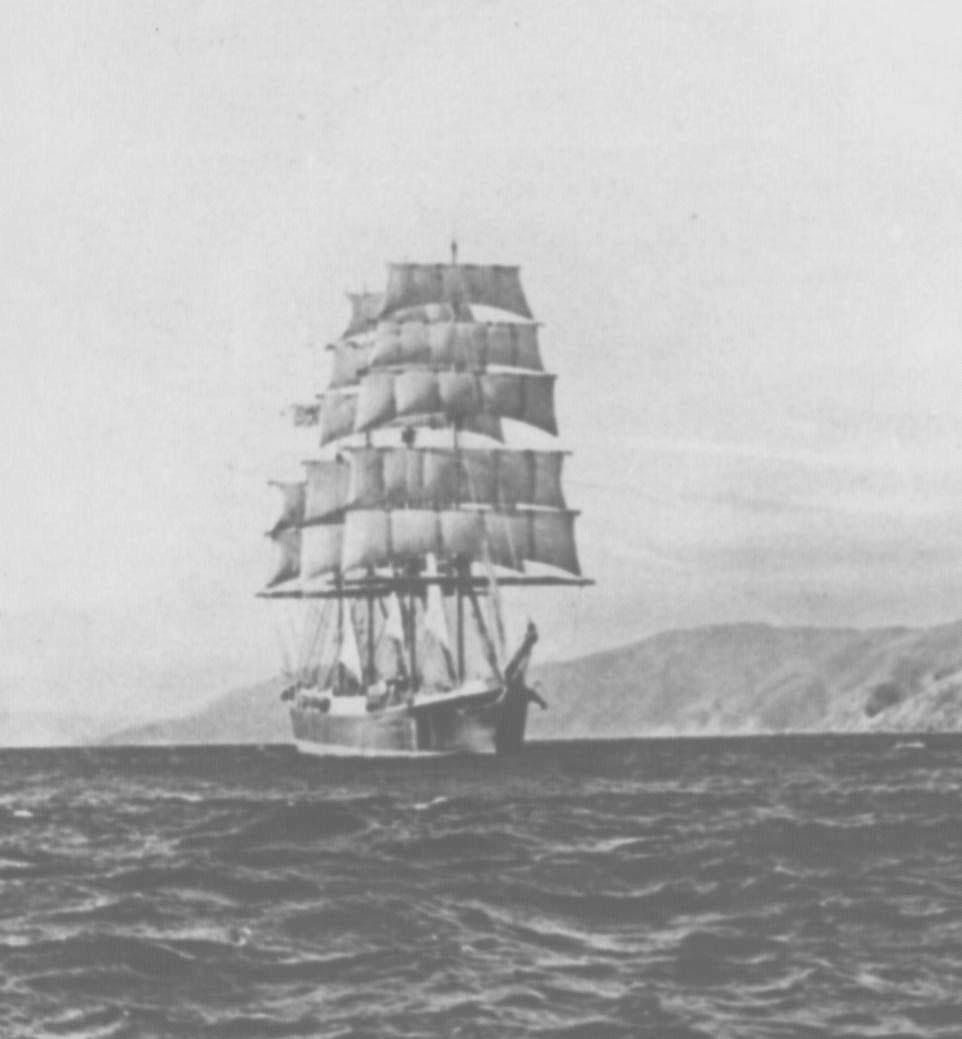 This image shows vessel near the coast of New Zealand.