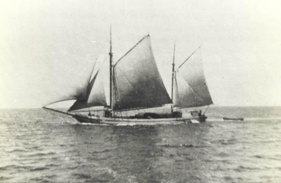 Ex "JC Taylor", 2 masted ketch, built in 1885 by Edward Higgs, Torquay, co.  Devon, Tasmania.  Renamed "Priscilla" in 1901 and an auxilliary engine was fitted in 1927 (18 bhp).  Registered in Port adelaide in October 1900 by Samual James Bishop, later SJ 
