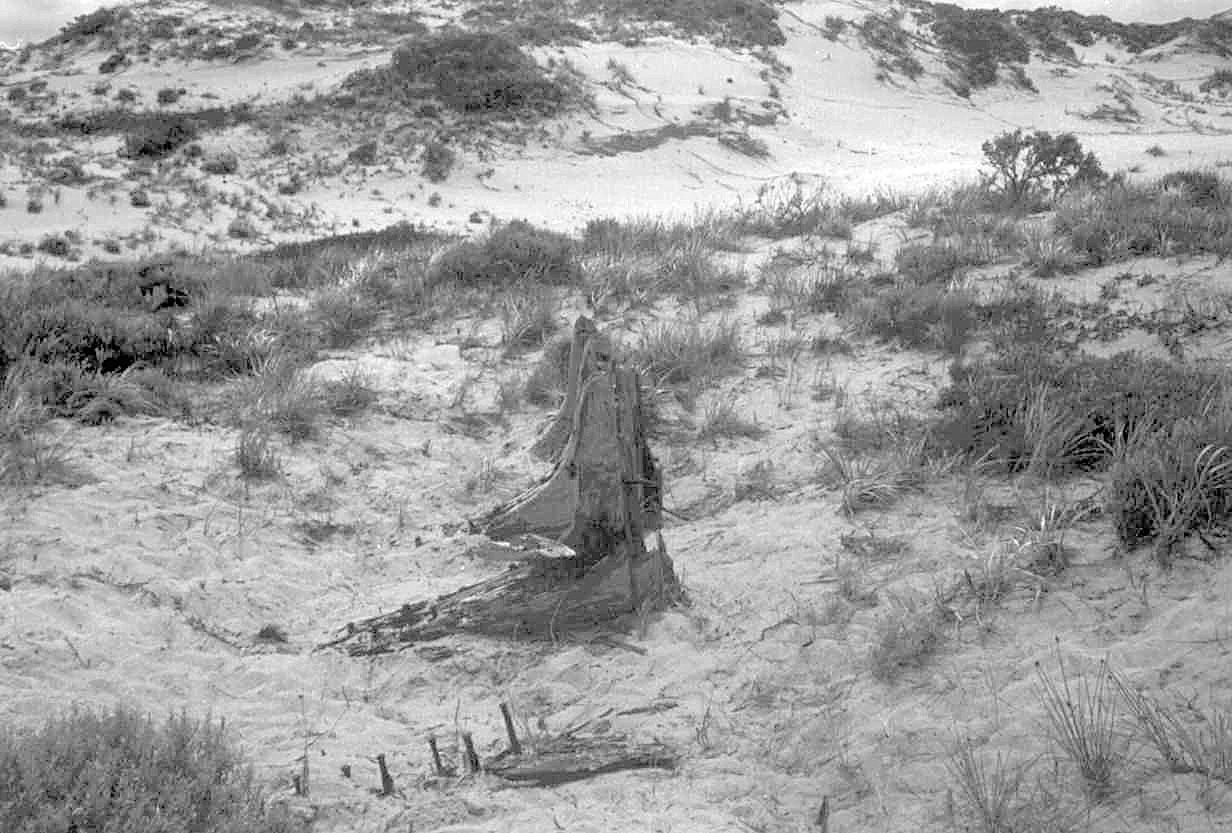 Showing wreckage of the American schooner - ribs lined up