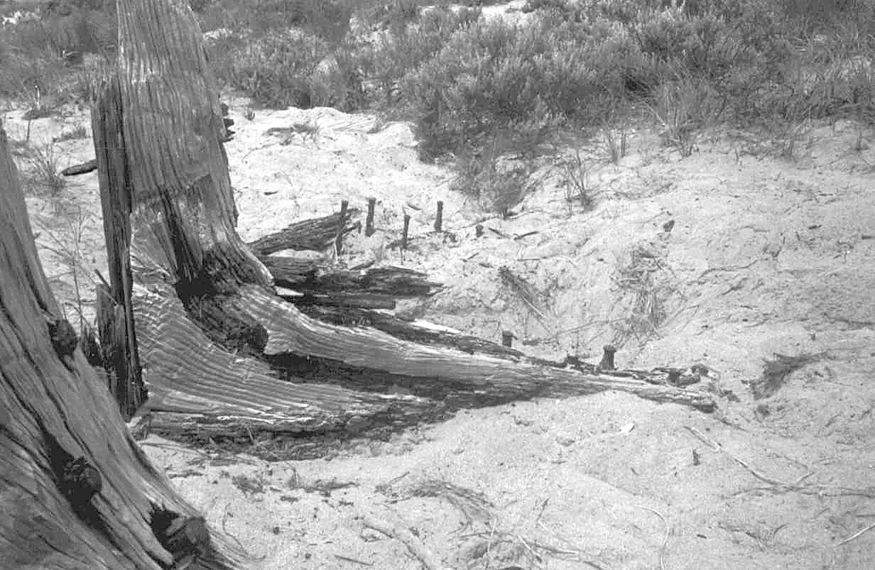 Showing wreckage of the American schooner - close view of ribs looking seaward