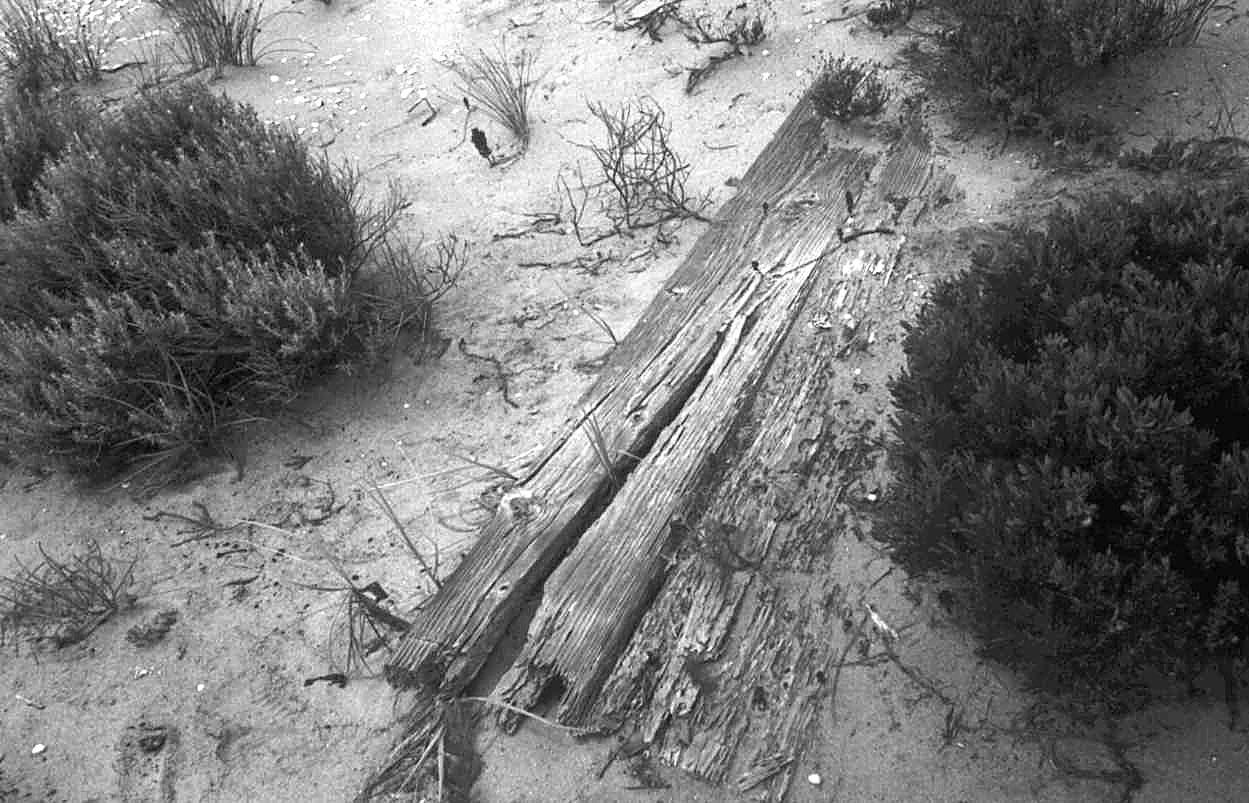 Showing wreckage of the American schooner - timber decking