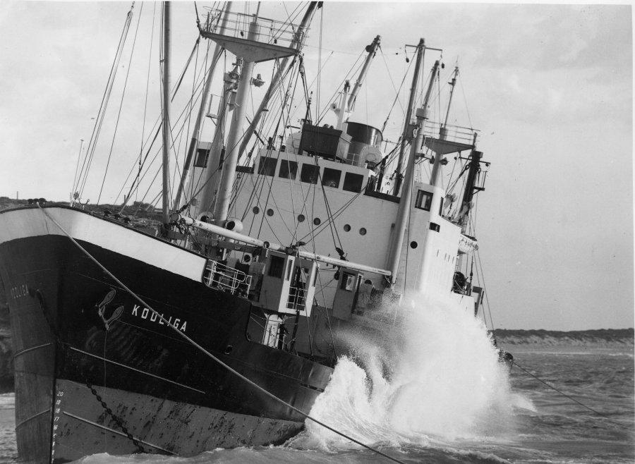 Kooliga, Stranded at Stenhouse Bay