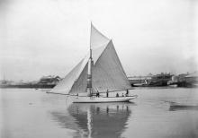 Cutter rigged Yacht "Wanderer", built in 1880 at Port Adelaide for Judge Bundey.  This vessel was in service from 1880 - 1890.
Tonnage:  12
Dimensions:  length 41', breadth 11'