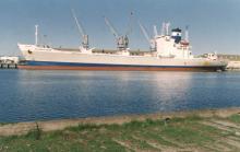 Loading fruit for export.