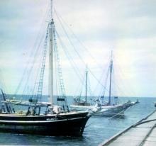 This image shows vessel at Stansbury Jetty in the 1950's.
