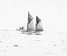 Ronald Parsons' book "Ketches of South Australia" describes "Heather Belle" as a wooden ketch, built in 1905 for H Heather in Hobart.  It was later sold to H Jones & co Ltd, by early 1920's was owned by BJ Boxall.  Destroyed by fire at wallaroo, May 18, 1