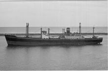 S.S. "Iron Warrior", ex 'Caloundra', ex 'Balook'.  Built in 1950 by Broken Hill Proprietry Co Ltd, Whyalla, for the Australian Shipping Board as 'Balook'.  In 1950 vessel was sold to Australasian United Steam Navigation Co Ltd, Australia and renamed Calou