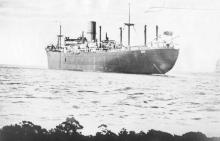 General Cargo vessel, T.S.S. "Fordsdale", built in 1924 by Commonwealth Dockyard, Sydney, NSW.  Owned by Commonwealth Government line of staemers and employed in international cargo from 1924 to 1928.  Sold to White Star Line.
Official Number:  151988
D