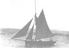 Cutter, "Royal William", built in 1842 at John Petchey's Shipyard at Battery Point, Hobart, by Samuel Johnson.  Maiden voyage was in 1842 to Kangaroo Island, for seal skins.  42 ton vessel.
