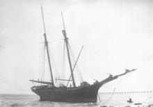 2 masted schooner, built in 1874 by John Lowen, Port Adelaide.  Vessel has 1 deck a round stern and is carvel built.  Owned by John Kuhl & Partners, vessel foundered inSt Vincent' sGulf on Dec 15 1876 and was subsequently raised, repaired and re-registere