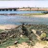 Showing her remains on a beach at Port Adelaide.