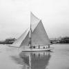 Cutter rigged Yacht "Wanderer", built in 1880 at Port Adelaide for Judge Bundey.  This vessel was in service from 1880 - 1890.
Tonnage:  12
Dimensions:  length 41', breadth 11'