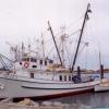 At Port Lincoln January 1999