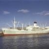On Port River