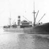 General Cargo vessel, "Iron Crown", ex 'Euroa' - torpedoed in 1942.  Built in 1923 in Williamstown, employed in interstate steel from 1923 until 1942.  Owned by C.G.L.; BHP.
Official Number:  151806
Dimensions:  length 331'0", breadth 47'9", draught 23'