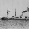 Passenger cargo vessel "S.S Herbert", built in 1884 at Newcastle upon Tyne by McIntyre & Co for Alpin Brown & Co Ltd of Brisbane.  She was sold in may 1888 to John Williams and registered in Launceston .  In 1889 she was owned by United S.S. Co and in 189