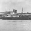 General cargo vessel "Grace Darling", built in 1907 at Hardenfveldt, Holland by Van Vliet & Co for John Darling & Co - Port Adelaide.
Tonnage:  627 gross
Dimensions:  length 175', breadth 27', draught 13'
Official Number:  122722