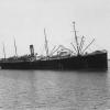 Passenger vessel "S.S. Runic", built in 1900 at Belfast by Harland & Wolff for White Star Line.
Official Number:  113441
Dimensions:  length 500', breadth 63', draught 40'
Port Of Registry:  Liverpool
Flag:  British