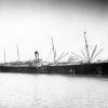 Passenger vessel "S.S. Runic", built in 1900 at Belfast by Harland & Wolff for White Star Line.
Official Number:  113441
Dimensions:  length 500', breadth 63', draught 40'
Port Of Registry:  Liverpool
Flag:  British