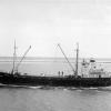 General cargo vessel "Yalata", ex "Judith Mary", ex "Slevik", built in 1955 at Bremerhaven by Schiff & march for Max Sieghold.  Owned by Coast Steamships Ltd.  She was used to replace the wrecked "Yandra", which was wrecked on South Neptune Island in 1959