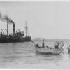 Passenger Cargo vessel "Wookata", built in 1909 by Mackie & Thomson, Govan.  Owned by West Coast Shipping Co Ltd until 1913 when sold to Coast Steamships Ltd.  In 1936 she was converted into a barge and cut up for scrap in the late 1970's.  She was built 