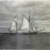 "Ketches of South Australia" by Ronald Parsons describes "Lurline" as a wooden ketch with an eliptic stern and of carvel build.  Built in Hobart in 1873, the vessel had an auxiliary engine fitted in 1915.  Gross tonnage of 59 and a net tonnage of 47.  Reg