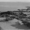 Steamship "Governor musgrave", built in 1874 by Mort's Dock & Engineering Co for the Marine Board of SA.  For many years this vessel was employed for all kinds of coastal service; repairs to jetties, investigating and attending wrecks, delivering stores t