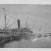 Passenger Cargo vessel "Koombana", built in 1908 by A Stephen & Sons Ltd - Glasgow, owned by the Adelaide Steamship Company from 1909 - 1912, where she worked the WA trade.  She disappeared during a storm near Port Hedland in 1912.

Tonnage:  3668 gross