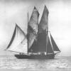 "Leillateah" is described in R Parsons' "Ketches of Australia" as a Ketch of 43 gross ton, built in 1891.  In 1908 it capsized off Recherche Bay, and was later registered in Melbourne in 1912.  It was bought by Messrs. GT & CG Heritage in Adelaide in the 