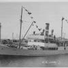 S.S. "Juno" was built in 1903 at Greenock, by G Brown & Co. Official number 117416.  She weighed 241 gross ton.  Owners were Coast Steamship Ltd.  
Dimensions - length 130', breadth 23', draught 9'.
Port of Registry:  Port Adelaide
Flag:  British