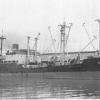 General cargo vessel, "Dandenong", built in 1946 by BHP Co Pty Ltd, Whyalla for the Australian Government.  In 1947 management was transferred to The Australian Shipping Board, and in 1957 was transferred to the Australian National Line (having been conve